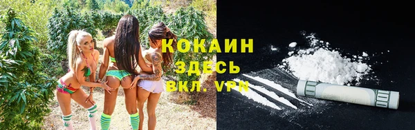 jwh Тайга