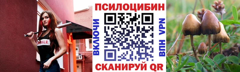 Галлюциногенные грибы Cubensis Калач