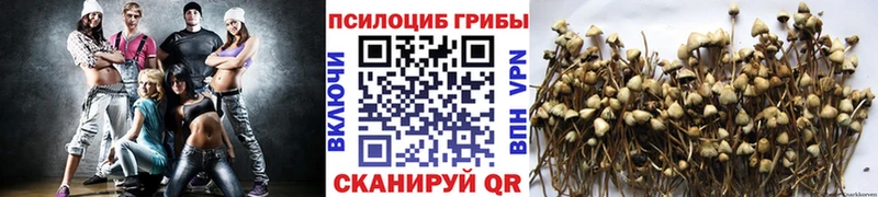 Галлюциногенные грибы мухоморы  Калач 